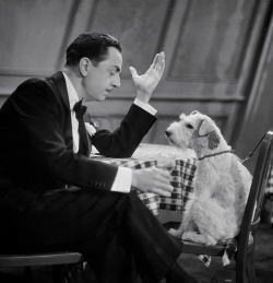 maudelynn:  William Powell and Asta the Dog