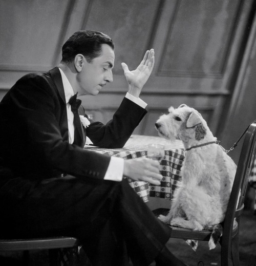 Sex maudelynn:  William Powell and Asta the Dog pictures