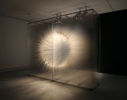 iconist:David Spriggs