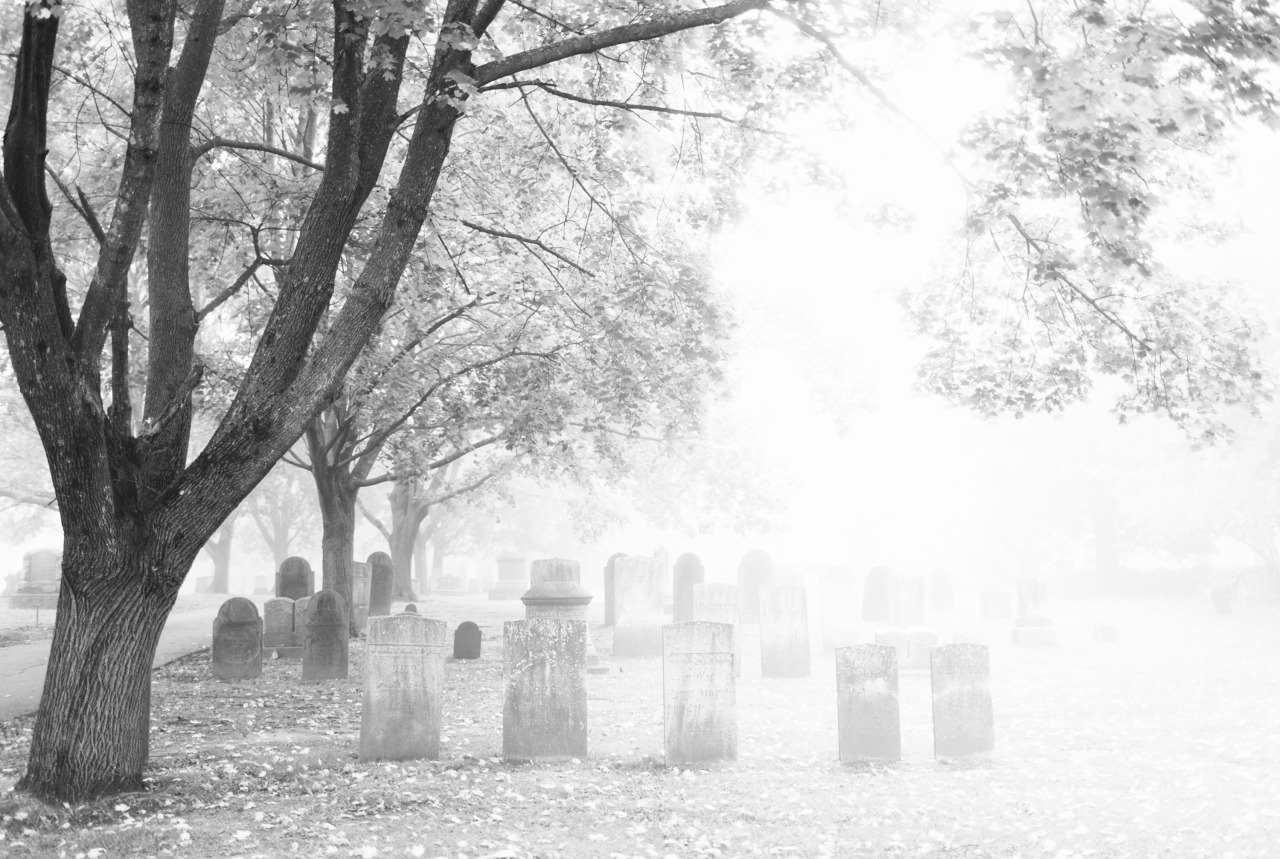 Foggy morning, local graveyard.