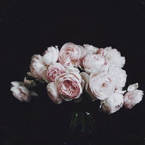 melapetal:  fleurs + femmes 