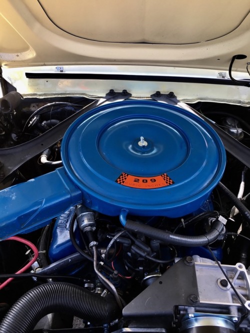 Sweet little 1968 Mustang in factory &ldquo;Meadowlark Yellow&rdquo; with a 289 and a Cruise-O-Matic