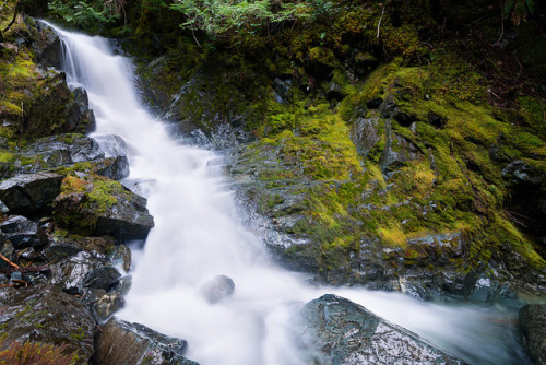 Deadhorse Creek by Bryn Tassell on Flickr.