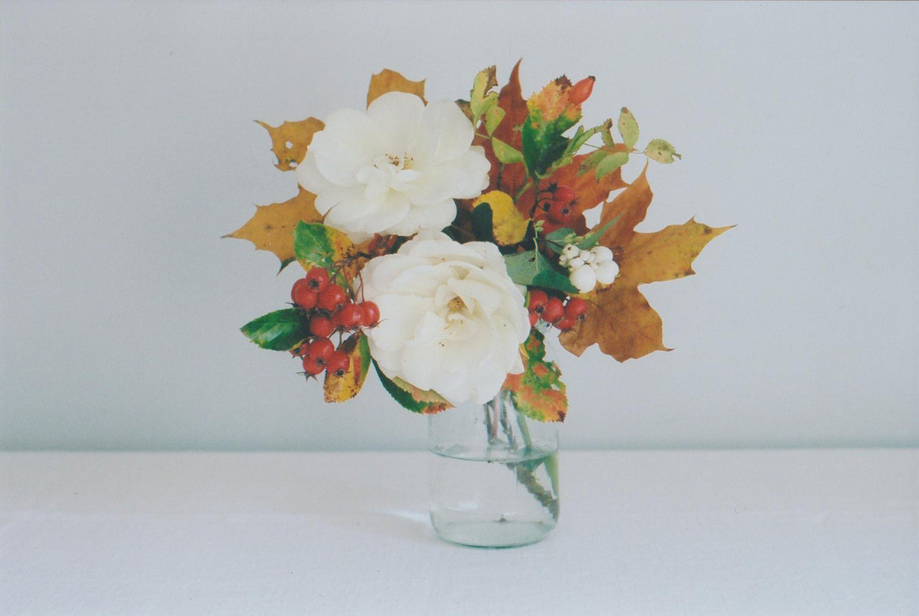 jacindaelena:     by emily*w   