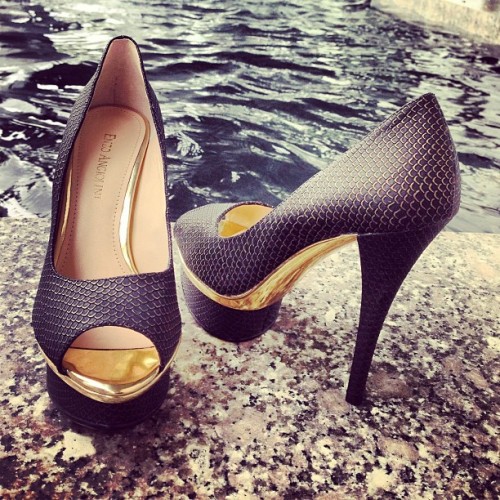 heelsdotcom: Luxurious “Loveutoo” from Enzo Angiolini