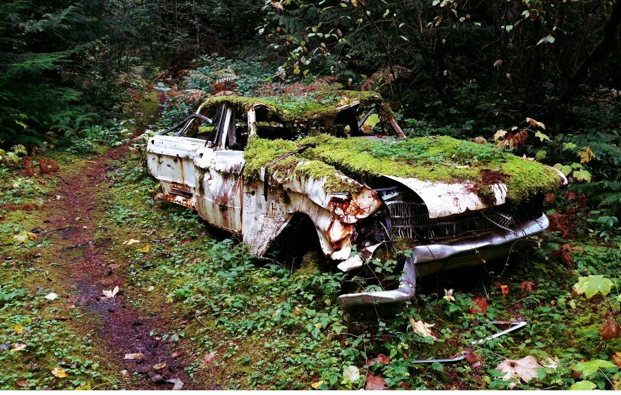 destroyed-and-abandoned:  Abandoned car found in woods on Vancouver Island, BC via