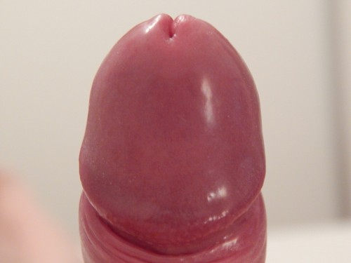 allforforeskin:  fischkopp1979 or @fischkopp79 | Germany | 36 years oldHi! I had a boring sunday, so i made some New photos. Submissions are accepted on the sidebar where it says [Share Your Foreskin] or at [allforforeskin at gmail dot com]. And please
