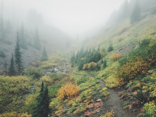 justapplyyourself:Pacific Crest Trail. Mt. Hood, Oregon.