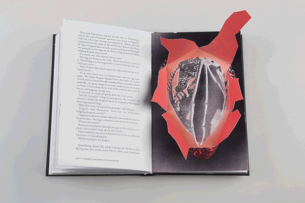 awcwardhumore:“The Harry Potter books are so magical so mysterious and so adventurous.