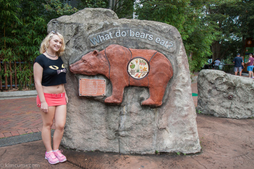 What do bears eat?