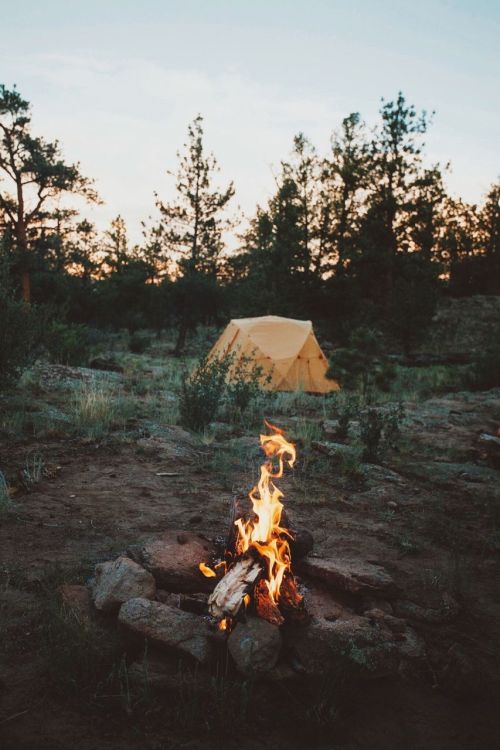 Yes, pls.