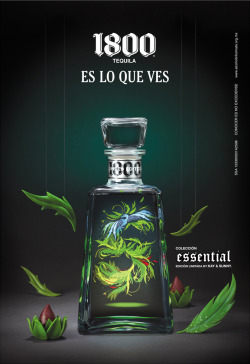 Agencianonimo:  Colección Essential / Tequila 1800