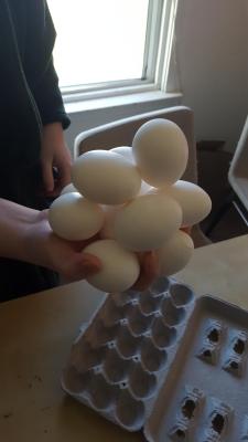 vulphinix:vulphinix:vulphinix:buddwyer:buddwyer:how many eggs can you hold in your