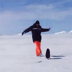 leonardodicrapio:  Leonardo DiCaprio gets attacked by a penguin during a trip to