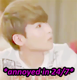 KIM RYEOWOOK - A SUMMARY