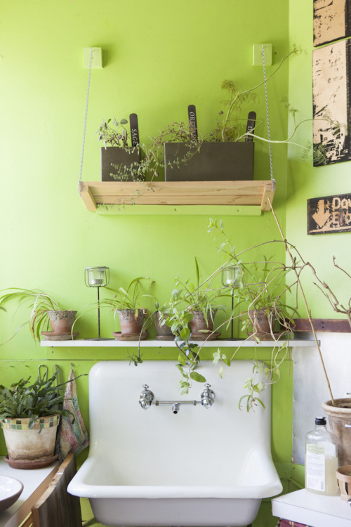 mymodernmet: Woman Transforms Her Brooklyn Apartment Into Indoor Jungle with 500 Lush Plants