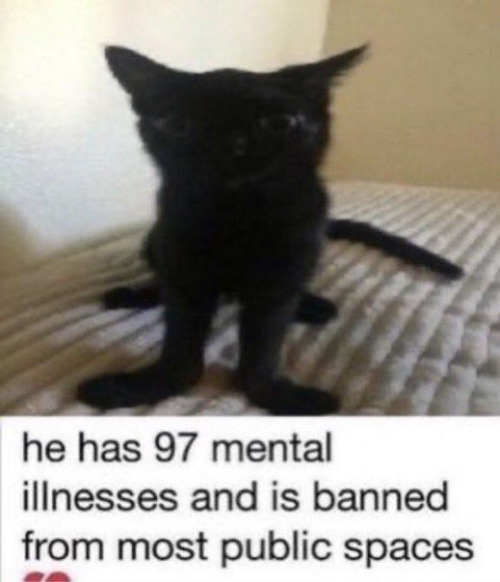YOUR IN THE RAT SERVER ARENT YOU