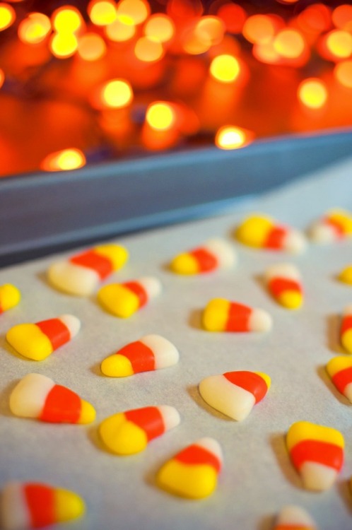 halloween treats