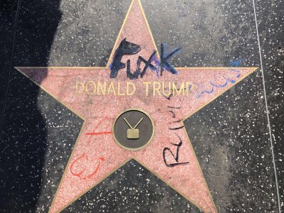 la-vie-en-lys:brunhiddensmusings:injuries-in-dust:black-geek-supremacy:i-stay-armed:mirrormirror2:Beautiful Street Art in Hollywood. Walk of shame. By the way …..FUCK DONALD TRUMP! I wonder the price of replacement of the star.Remember when people