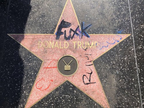 la-vie-en-lys:brunhiddensmusings:injuries-in-dust:black-geek-supremacy:i-stay-armed:mirrormirror2:Beautiful Street Art in Hollywood. Walk of shame. By the way …..FUCK DONALD TRUMP! I wonder the price of replacement of the star.Remember when people