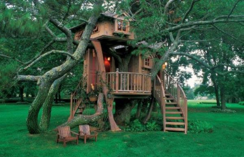 wattthefisk:  Tree houses that put our ordinary homes to shame. A mixture of classic and modern tree houses that make you question where you live. 