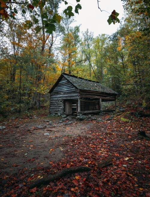 The secret fate of all life.Great Smoky Mountain National Park @zeisenhauer