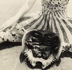 zzzze:  Francesca Woodman, Untitled, Horseshoe Crab, Providence, 1976