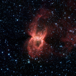 just–space:  Black Widow Nebula Hiding