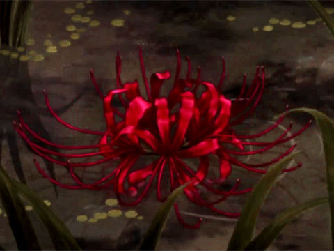 Red Spiderlily flower red anime flower red spider lily flower  AI  Generated Artwork  NightCafe Creator