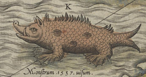 mediumaevum:Here be Medieval Sea MonstersThis sea pig, which was compared to heretics that distorted