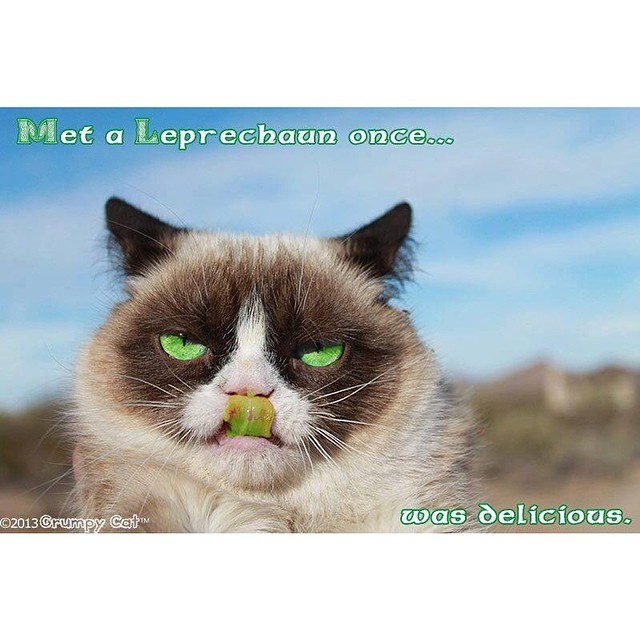 Grumpy St. Patricks Day! #GrumpyCat