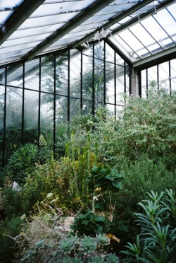 daxo: Kew