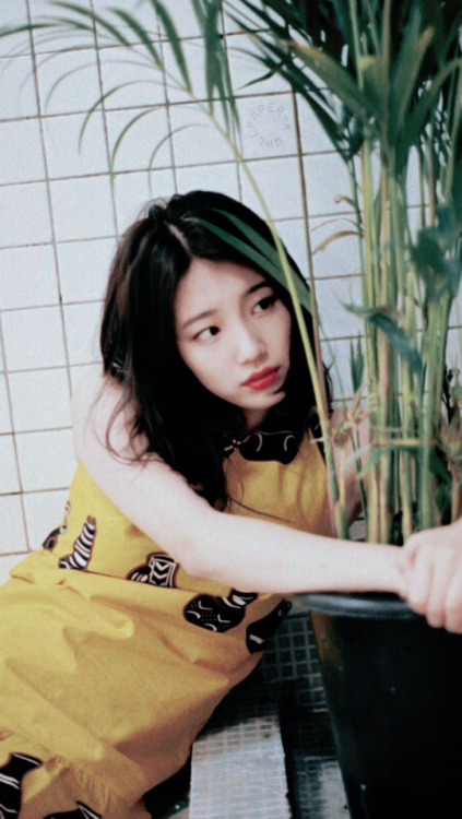 『SUZY』saved? reblog or like