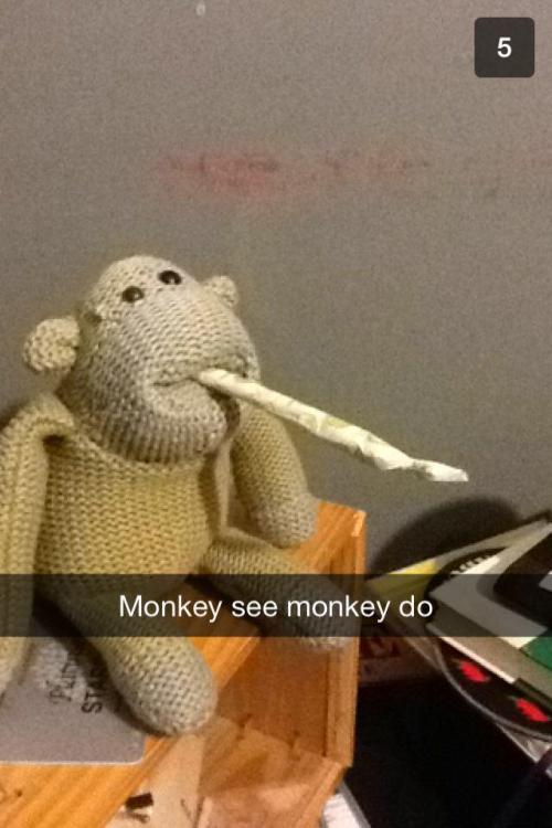 Monkey see monkey do.