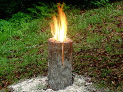 off-grid-inspiration:  The Swedish Log Candle: First, stand the log upright and begin to cut downward using 4 overlapping cuts in the same way that you would cut a pie, creating 8 equal triangles. Each cut can be made as low as 4 inches from the bottom.