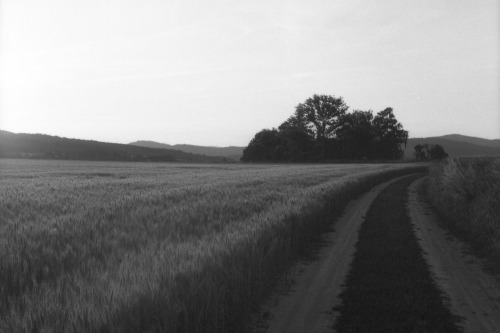 Krnov, Czech Republic | July 2021 | Olympus Pen FT on Fomapan 100