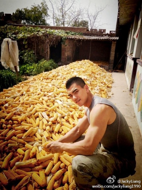 chipmasterson:  male-glories:  MALE GLORIES: COCK & BODIES  What did he do with all that corn?