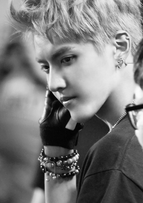 ohsehons:  side-profile 
