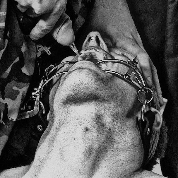 ssubsscum:  This churns my sperm! real slave for REAL MASTER: www.recon.com/subscum