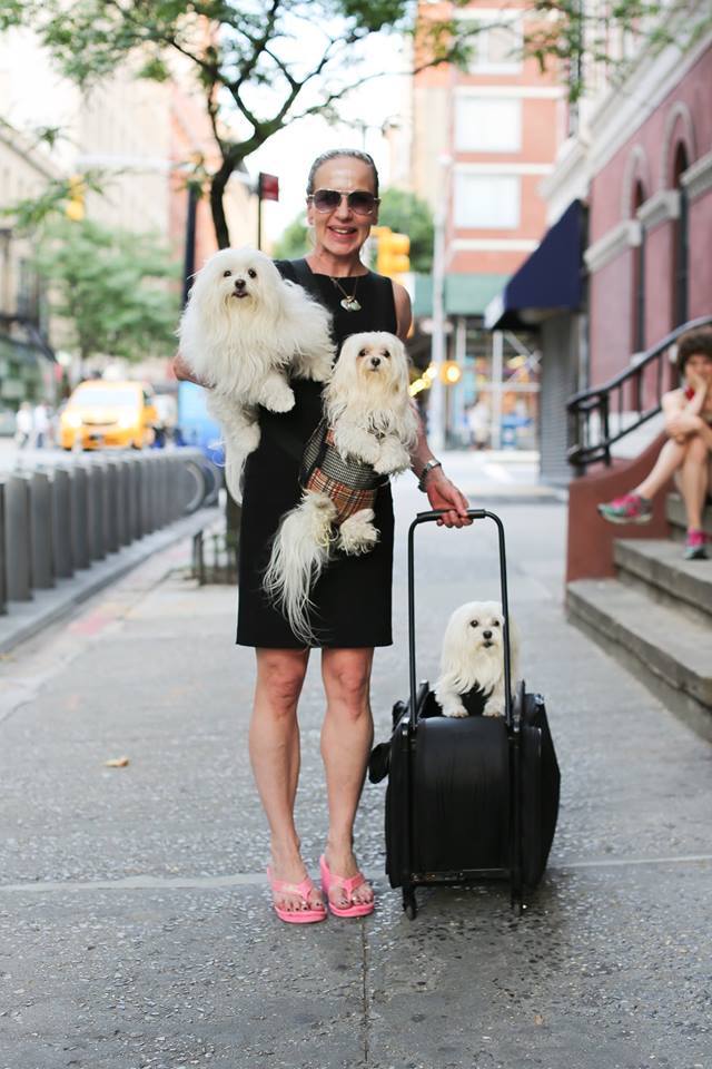 humansofnewyork:
“ “This one is the anxious Mama’s girl, this one is the independent hippie, and this one is the boss.” ”
I am pretty sure this is the same lady I photographed last fall. It’s a picture I actually think about a lot because it was such...