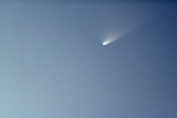 malovelle:  Comet Panstarrs 