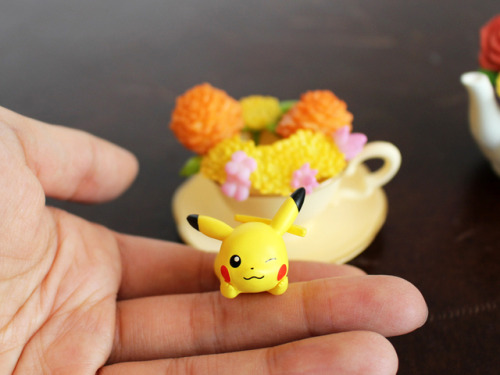 shelgon - Daisuki Club Images for the Pokémon “PETITE FLEUR ” ,...