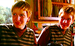 morsmordre-x:  harry potter meme: seven relationships [6/7] » fred &amp;