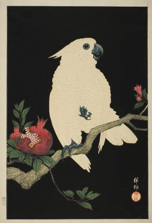 japaneseaesthetics:Artist: Watanabe Shozaburo (Publisher)Title: Cockatoo and PomegranateDate: 1927Me