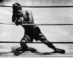 burnedshoes:  © Larry Sharkey / LA Times, Oct. 31, 1950, On the ropes Bernard “Big Duke” Docusen hangs on to the ropes at end of the second round after taking several hard punches from John L. Davis. The referee halted the bout on a technical knockout