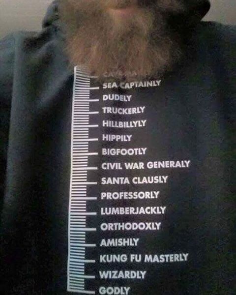 I think Nerdarchy needs this: A Beardometer Hoodie! #beard #beardgang #beards #bearded #beardedmen #