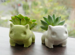 blackfemalepresident:  esswishlist:  35. Bulbasaur Flowerpot (Succulent Monsters) x7r found them! :) you can buy these from here or there is a 3D print version  #kris OMG!!! THESE ARE SO CUTE!!!!!!!!!! OMGGGGGGGGGG 