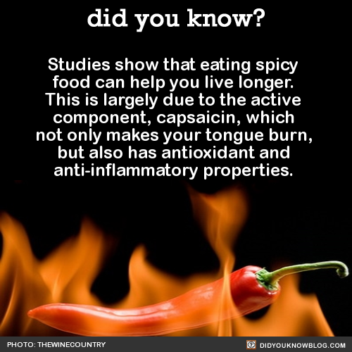 did-you-kno:Studies show that eating spicy food can help you live longer. This is largely due to the