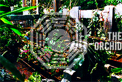 Lost Meme: [1/3] Locations The Dharma Stations 