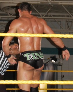 wweassets:  Tino Sabbatelli